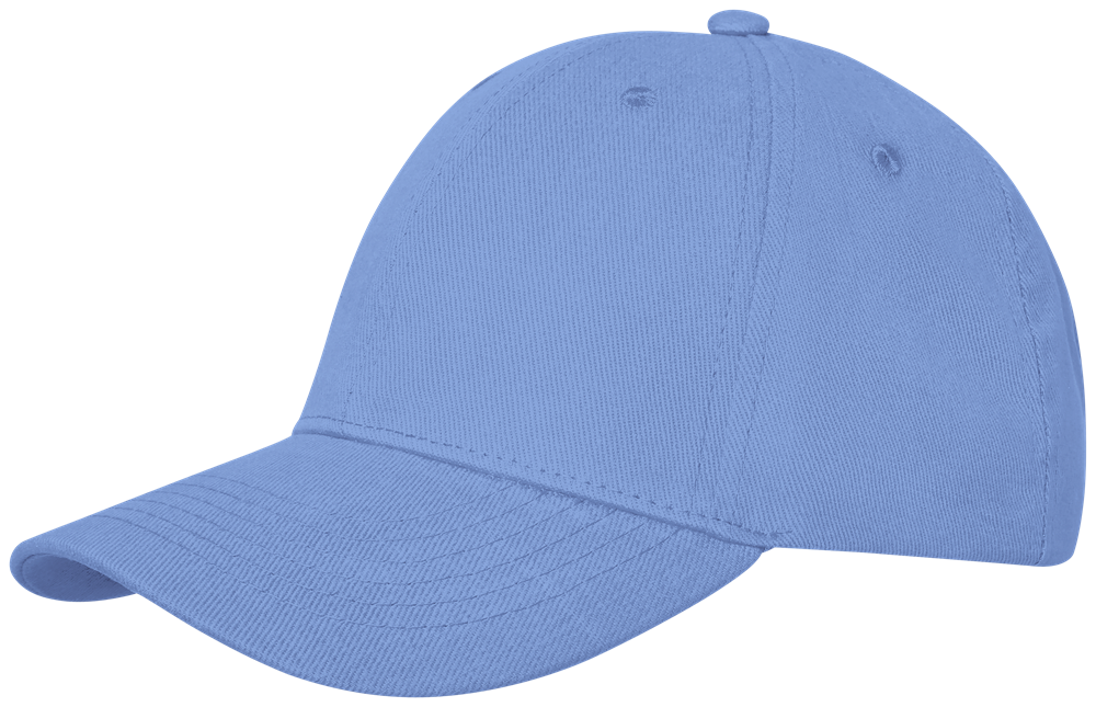 Davis Panel Kappe mit 6 Segmenten