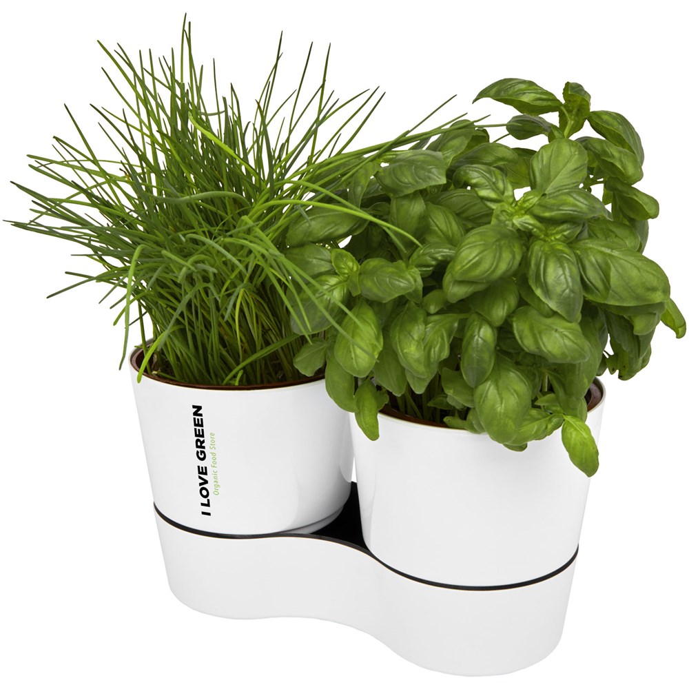 Mepal Herbs-Topf für die Küche, doppelt