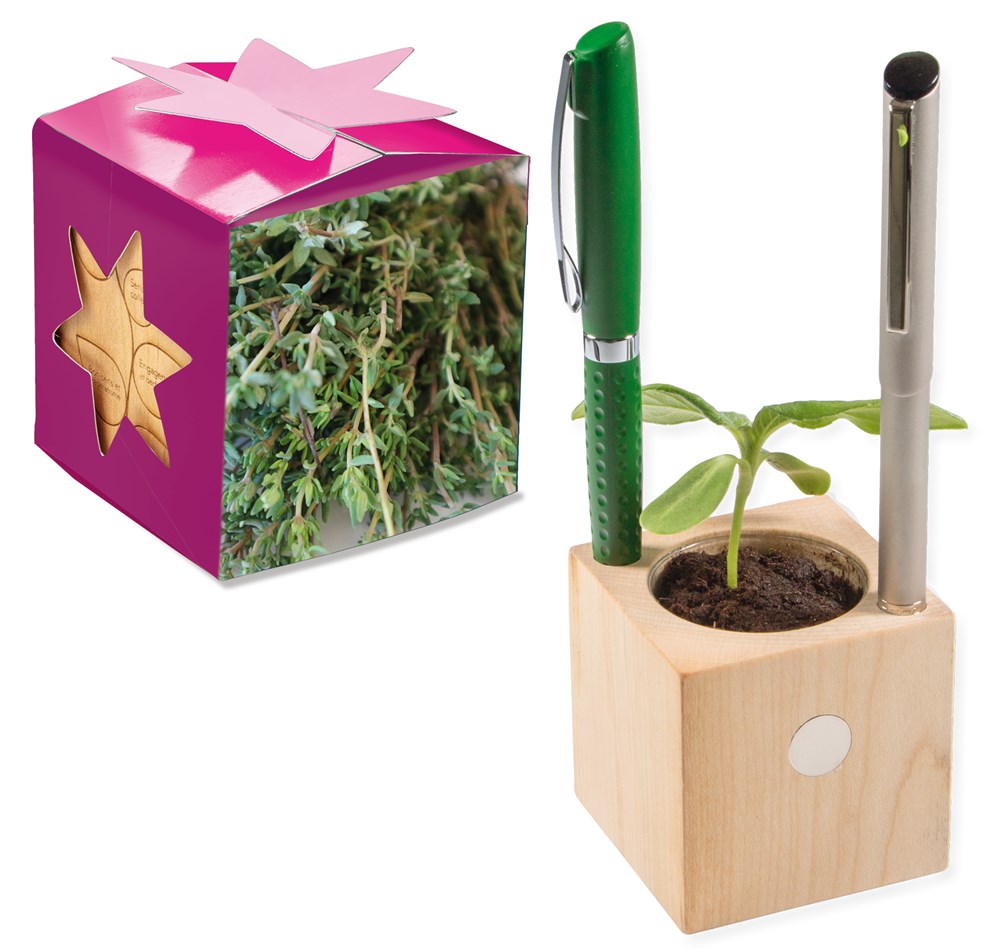 Pflanz-Holz Büro Star-Box