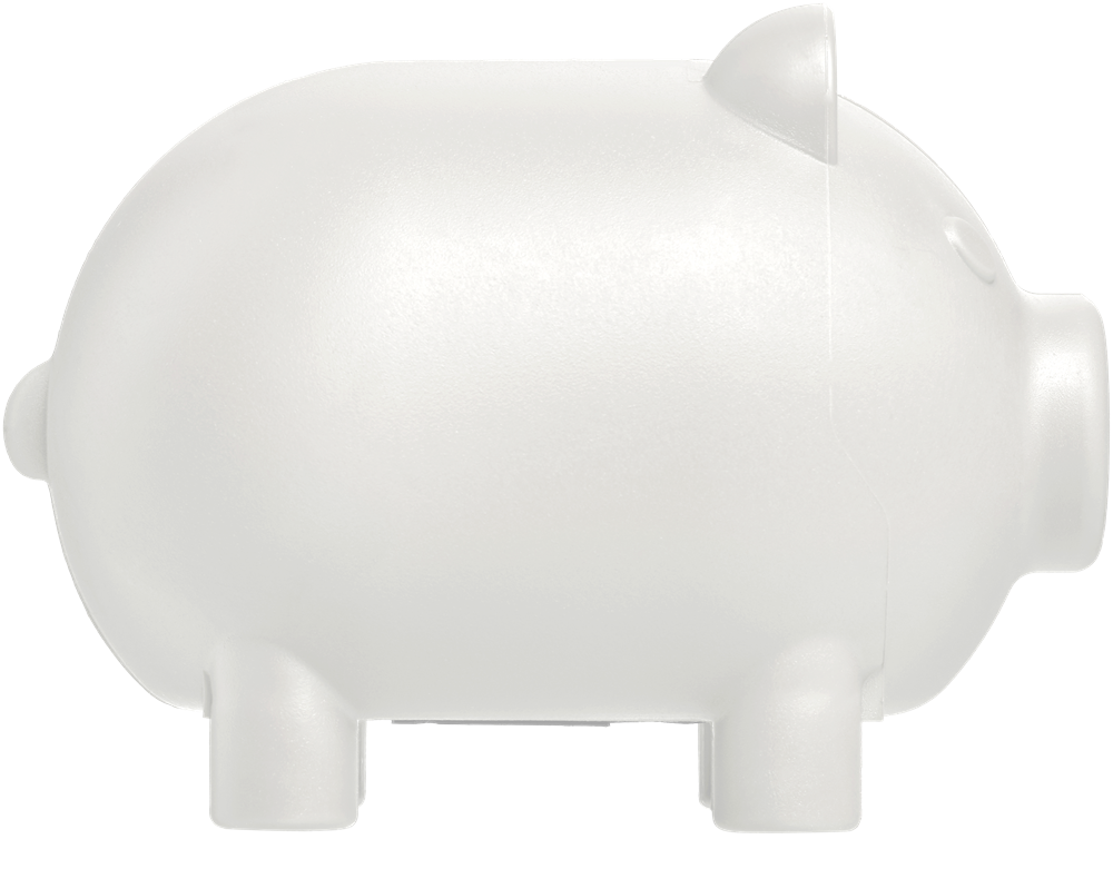 Oink kleines Sparschwein