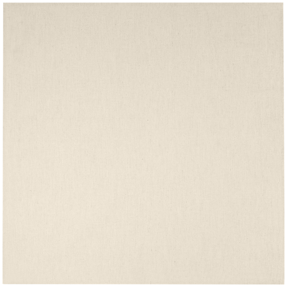 Pheebs 200 g/m² recyceltes Küchenhandtuch