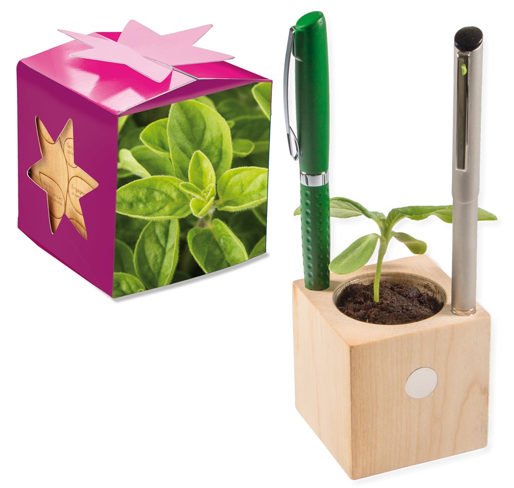 Pflanz-Holz Büro Star-Box