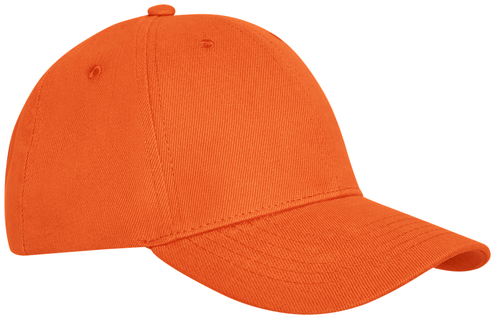 Davis Panel Kappe mit 6 Segmenten