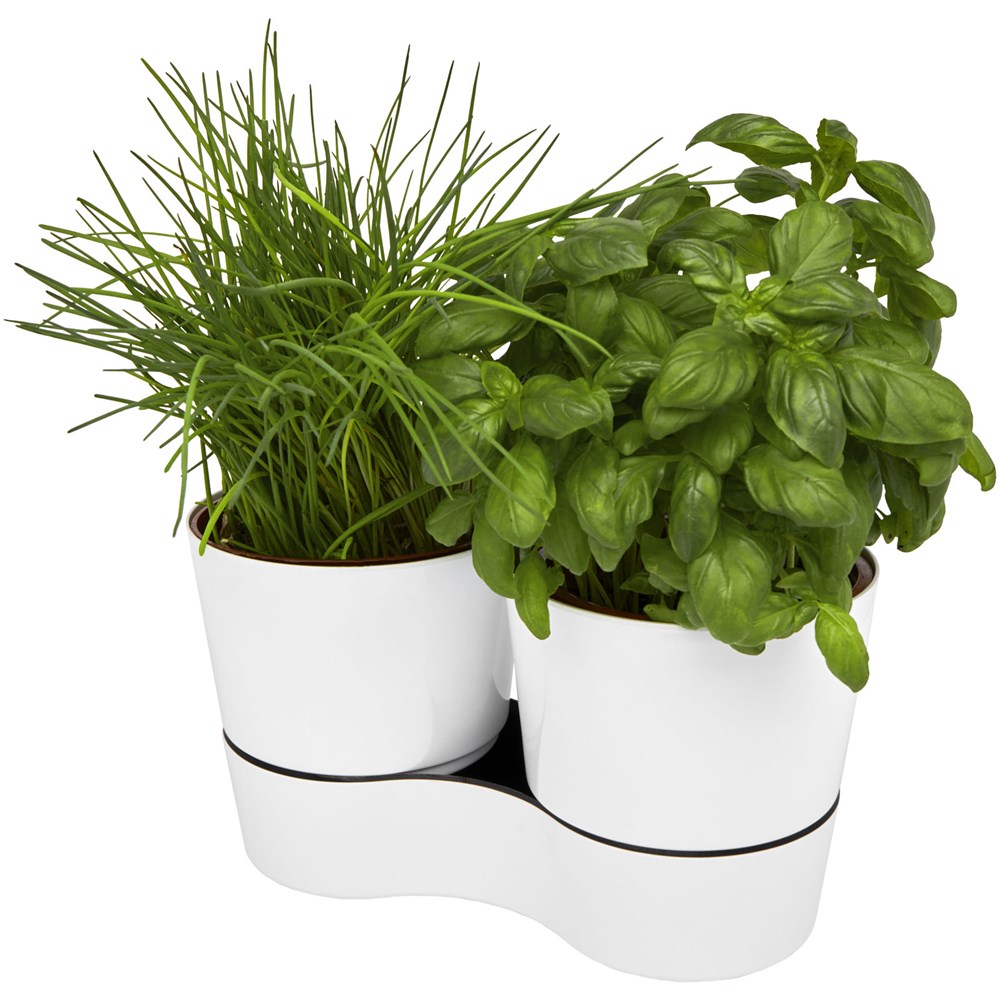 Mepal Herbs-Topf für die Küche, doppelt