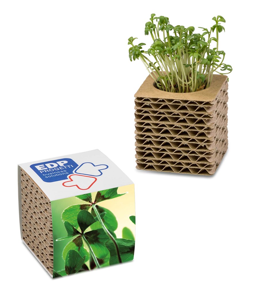 Wellkarton-Pflanzwürfel