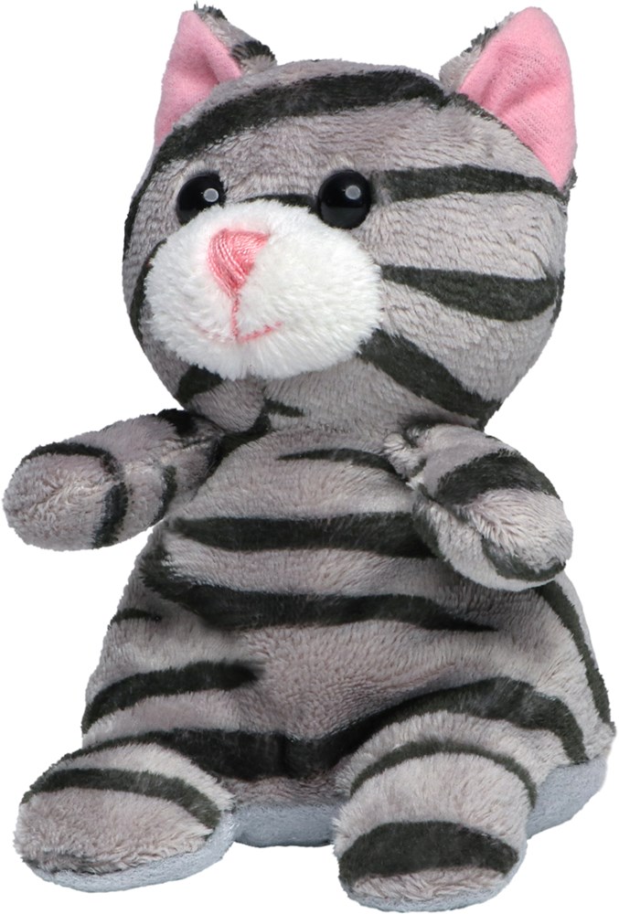 XXL Katze