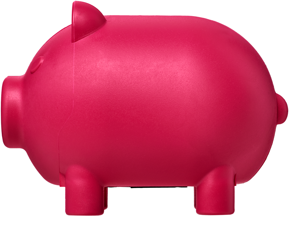 Oink kleines Sparschwein