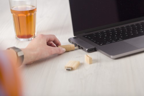 USB stick 2.0 aus Karton Sydney