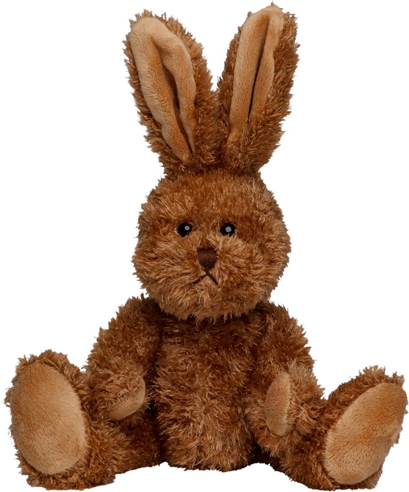 Hase Lina