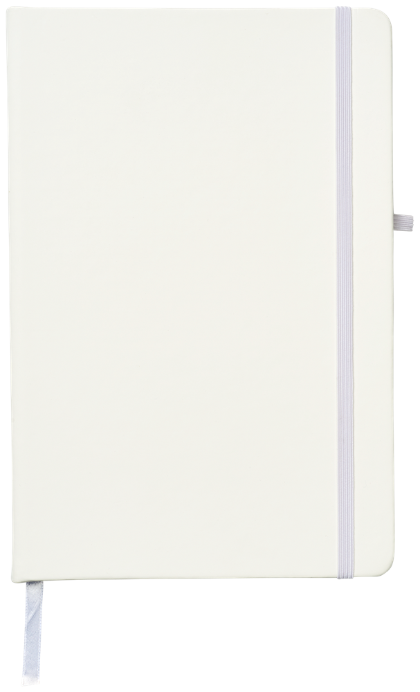 Polar A5 Notizbuch, liniert