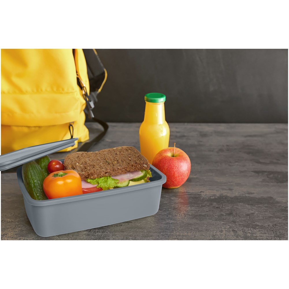 Dovi Lunchbox