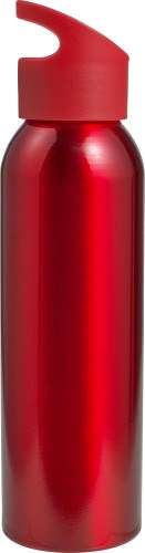 Trinkflasche aus Aluminium (650 ml) Marla