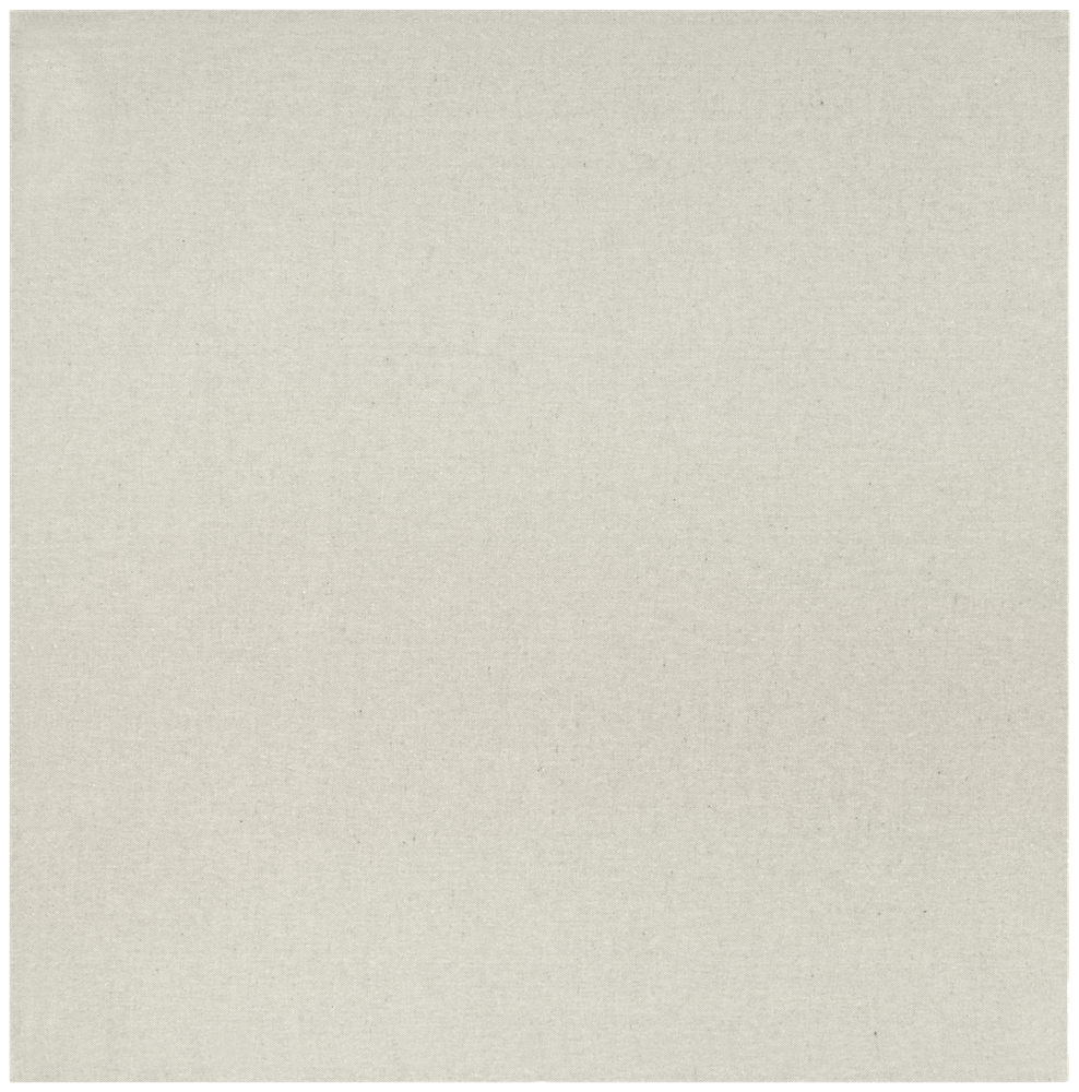 Pheebs 200 g/m² recyceltes Küchenhandtuch