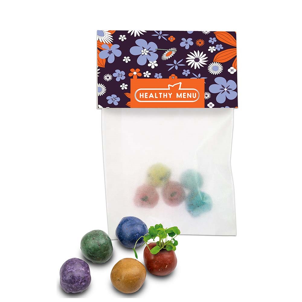 Bunte Mini Flower-Balls mit Samen