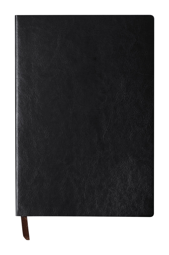 Paldon - Notizbuch