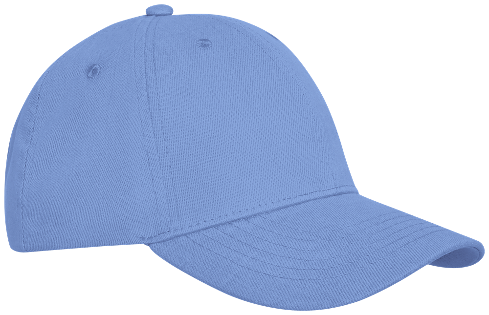 Davis Panel Kappe mit 6 Segmenten