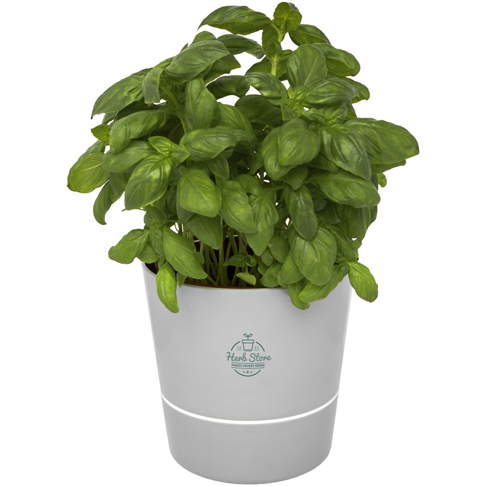 Mepal Herbs-Topf für die Küche, einzeln